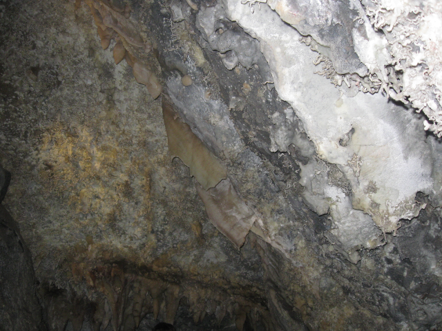 cave19